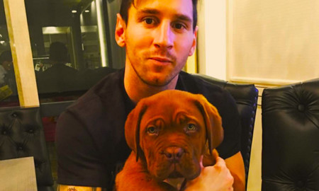 Messi Perro