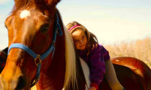 Caballo con niña