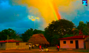 Arcoiris Venezuela