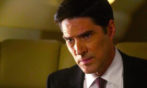 THOMAS GIBSON