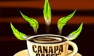 Canapa caffè1 300x180 - Al Borde De Lo Legal