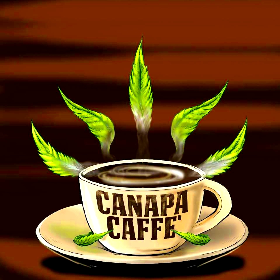 Canapa caffè1 - Al Borde De Lo Legal