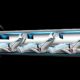 Hyperloop 80x80 - ¿Listo El Hyperloop?