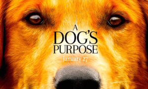 A dogs pourpose 300x180 - Problemas Con ‘A Dog’s Purpose’