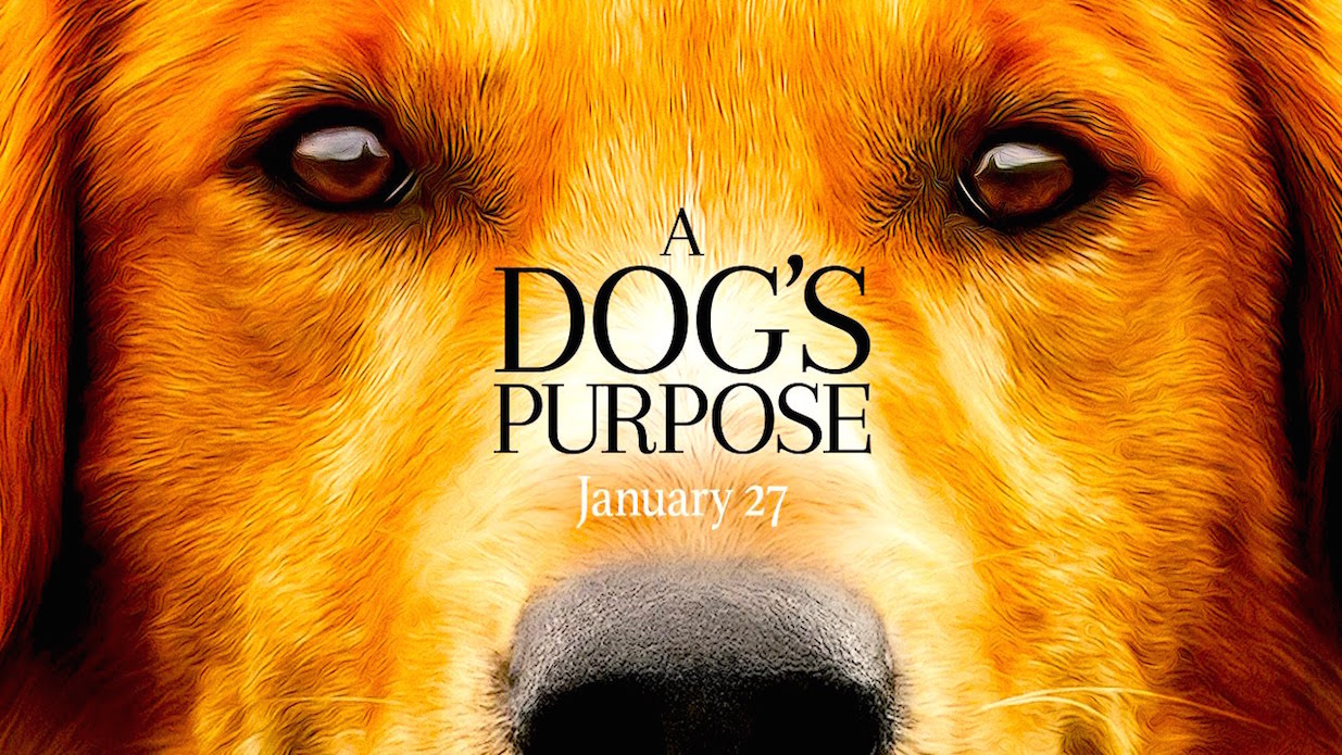 A dogs pourpose - Problemas Con ‘A Dog’s Purpose’