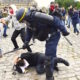 MANIFESTACIONES EN PARIS 80x80 - Vergüenza En París