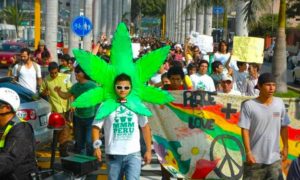 PERU MARIA 300x180 - Piden Lagalización De Marihuana En Perú