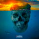 SKULL ISLAND 80x80 - Skull Island y Sus Retos