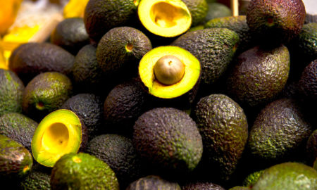 AGUACATE 450x270 - Aguacates Siempre Frescos