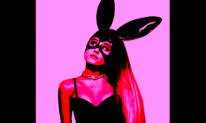 ARIANA 300x180 - Ariana Gira ¡En Grande!