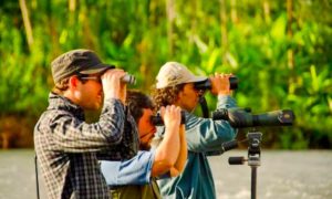 Bird Watching 3 Copy.jpg 300x180 - Birding: Una Nueva Forma De Viajar