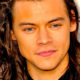 HARRY STYLES facebook 80x80 - Semana Fantástica Para Harry Styles