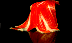 JAMON JAMON 300x180 - ¡Jamón, Jamón!