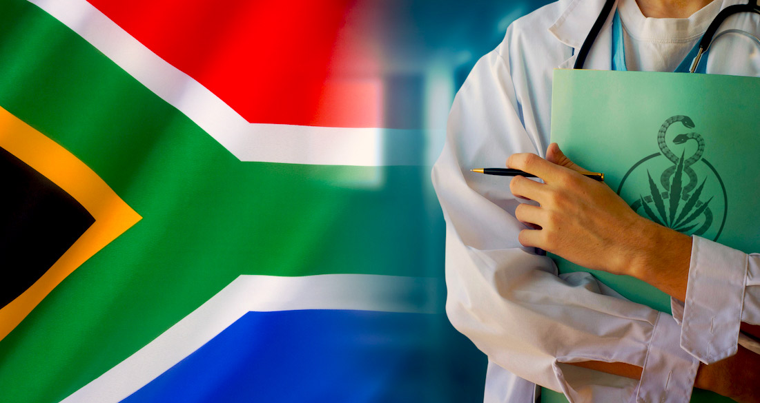 South Africa legalizes medicinal cannabis 1 - Sudáfrica: Referencia En La Legalización Del Cannabis