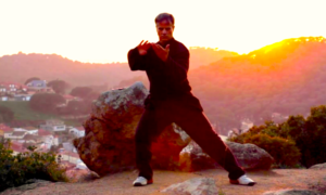 TAII CHI 300x180 - Introducción Al Tai Chi