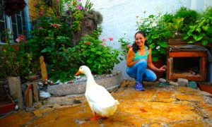 martha pato 300x180 - La Casa Más Verde De Bogotá