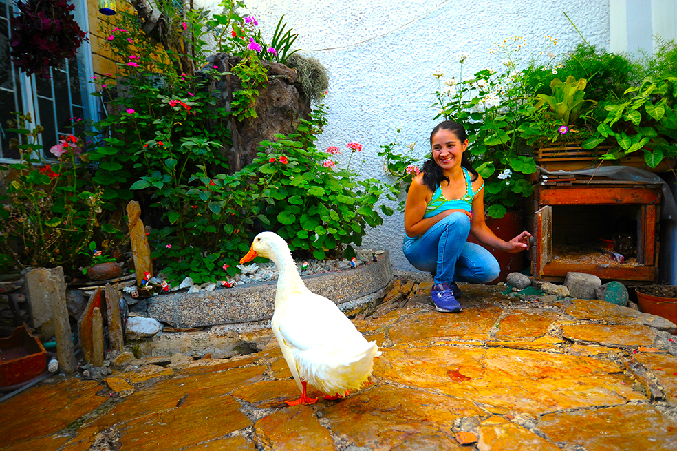 martha pato - La Casa Más Verde De Bogotá