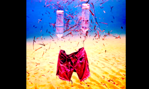 pescar plástico 300x180 - Limpiar El Mar... de Plástico