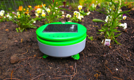 TERTILL 450x270 - Tertill, El Robot Jardinero