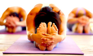YOGA PRINCIP 300x180 - Yoga: Principios 2