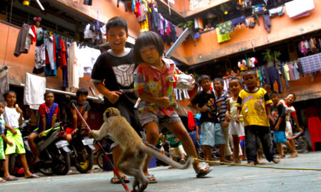 kota tua 450x270 - ¿Quiénes Viven En El Centro Histórico De Yakarta?