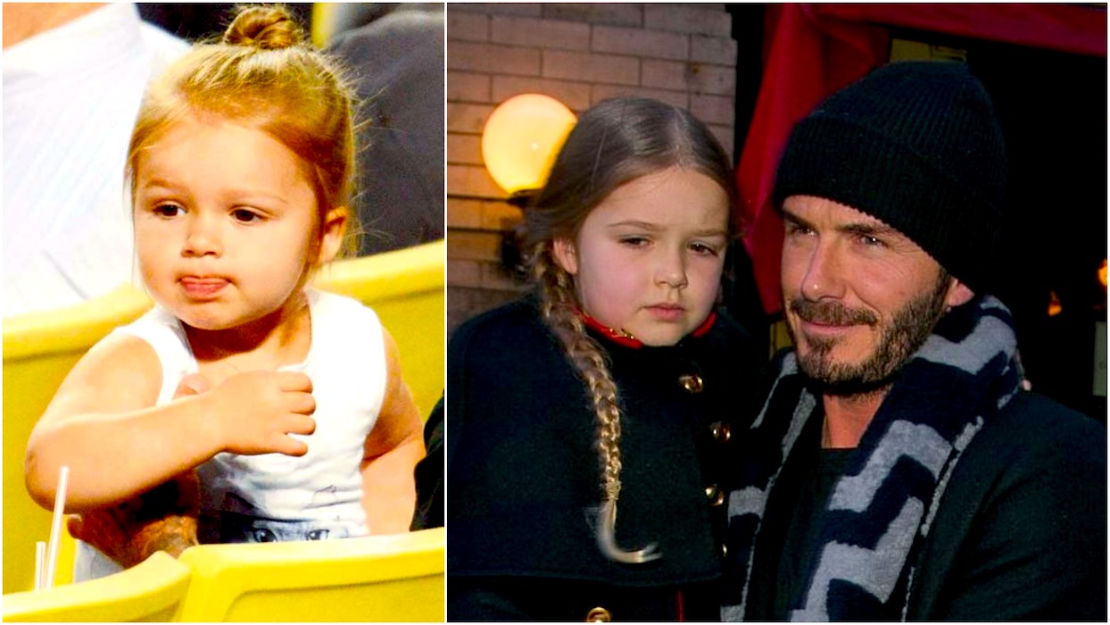 HARPER - Harper Beckham Celebra Sus 6 Años Como Una Princesa