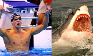 Michael Phelps tiburon blanco 1920 300x180 - ¿Fue Una Farsa La Carrera Entre Phelps y Un Tiburón?