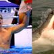 Michael Phelps tiburon blanco 1920 80x80 - ¿Fue Una Farsa La Carrera Entre Phelps y Un Tiburón?