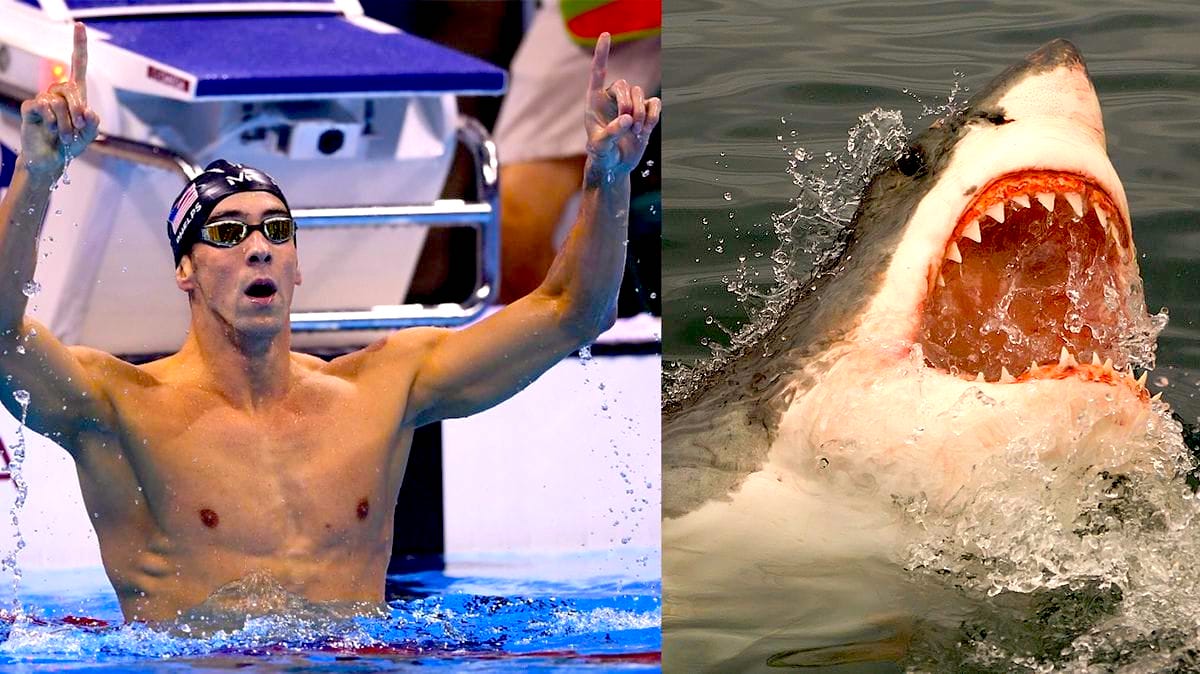 Michael Phelps tiburon blanco 1920 - ¿Fue Una Farsa La Carrera Entre Phelps y Un Tiburón?