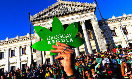 uruguay segundo enfoque 450x270 - Uruguay Pone En Marcha La Venta Legal De Cannabis