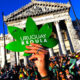 uruguay segundo enfoque 80x80 - Uruguay Pone En Marcha La Venta Legal De Cannabis