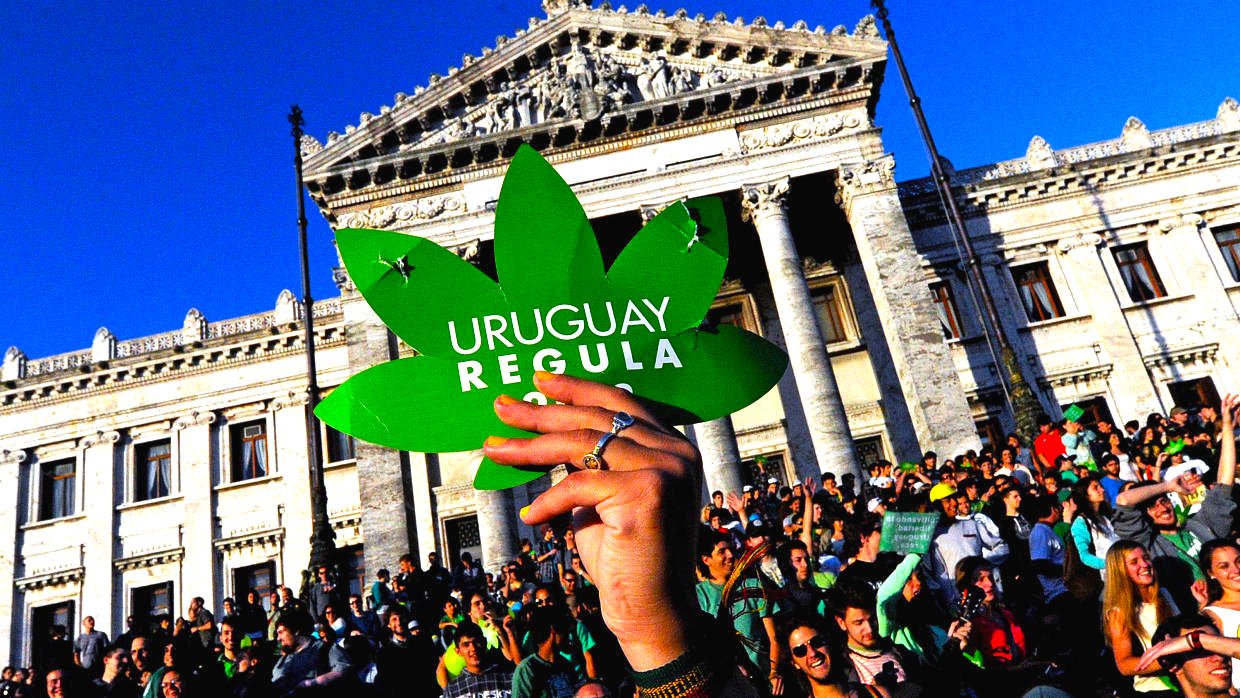 uruguay segundo enfoque - Uruguay Pone En Marcha La Venta Legal De Cannabis