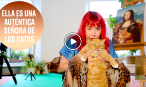 GATOS 300x180 - ¡Conoce A La Verdadera Señora De Los Gatos!