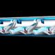 Hyperloop 1000x600 1 80x80 - Hyperloop: Tren Del Futuro