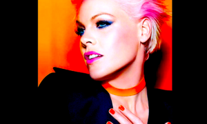 PINK 300x180 - P!nk: Todo Por Una Fan