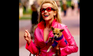 REESE 300x180 - Reese Celebra A Elle Wood