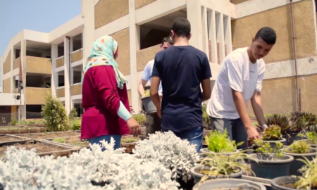 el cairo 450x270 - Los Techos Verdes De El Cairo Contra La Contaminación