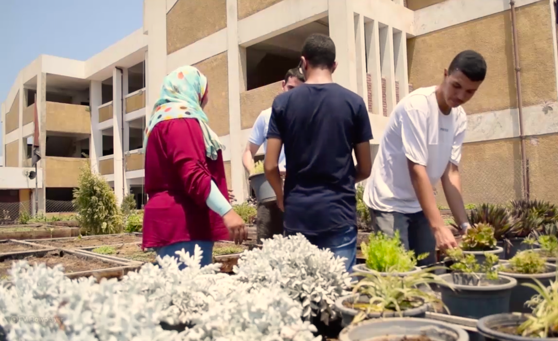 el cairo - Los Techos Verdes De El Cairo Contra La Contaminación