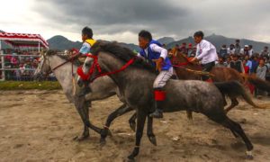 jockeys 300x180 - Los Pequeños Jockeys Explotados De Indonesia