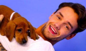 liam 300x180 - Liam Payne Juega Con Unos Adorables Cachorros