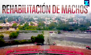 machistas 300x180 - Mauro, El Hombre Que Rehabilita Machistas