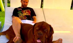 messi mascota 300x180 - Estas Son Las Mascotas De Los Deportistas Más Famosos