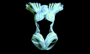 trajes de bano 3 D 300x180 - Trajes De Baño En 3D