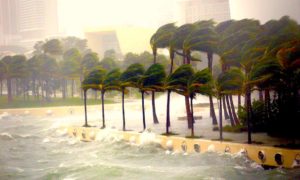 Galeria Huracan Irma Miami 13 300x180 - El Huracán Irma Aterroriza Florida (EN VIVO)
