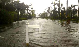 LAKE 1 300x180 - Huracán Irma: Vientos De 155km/h En Lakeland