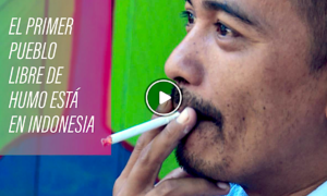 TABACO 300x180 - El Primer Pueblo Libre De Tabaco De Indonesia