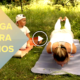 Yoga para niños 80x80 - Yoga Para Niños: Postura Mayurasana