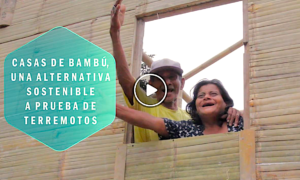 casas bambu 300x180 - Casas De Bambú En Ecuador A Prueba De Terremotos