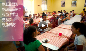 pajaritos 300x180 - Cómo Educar A Los Niños Del Barrio Más Pobre De España