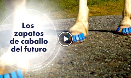 pies caballos 450x270 - Tecnología Para Que Los Caballos Paren De Sufrir